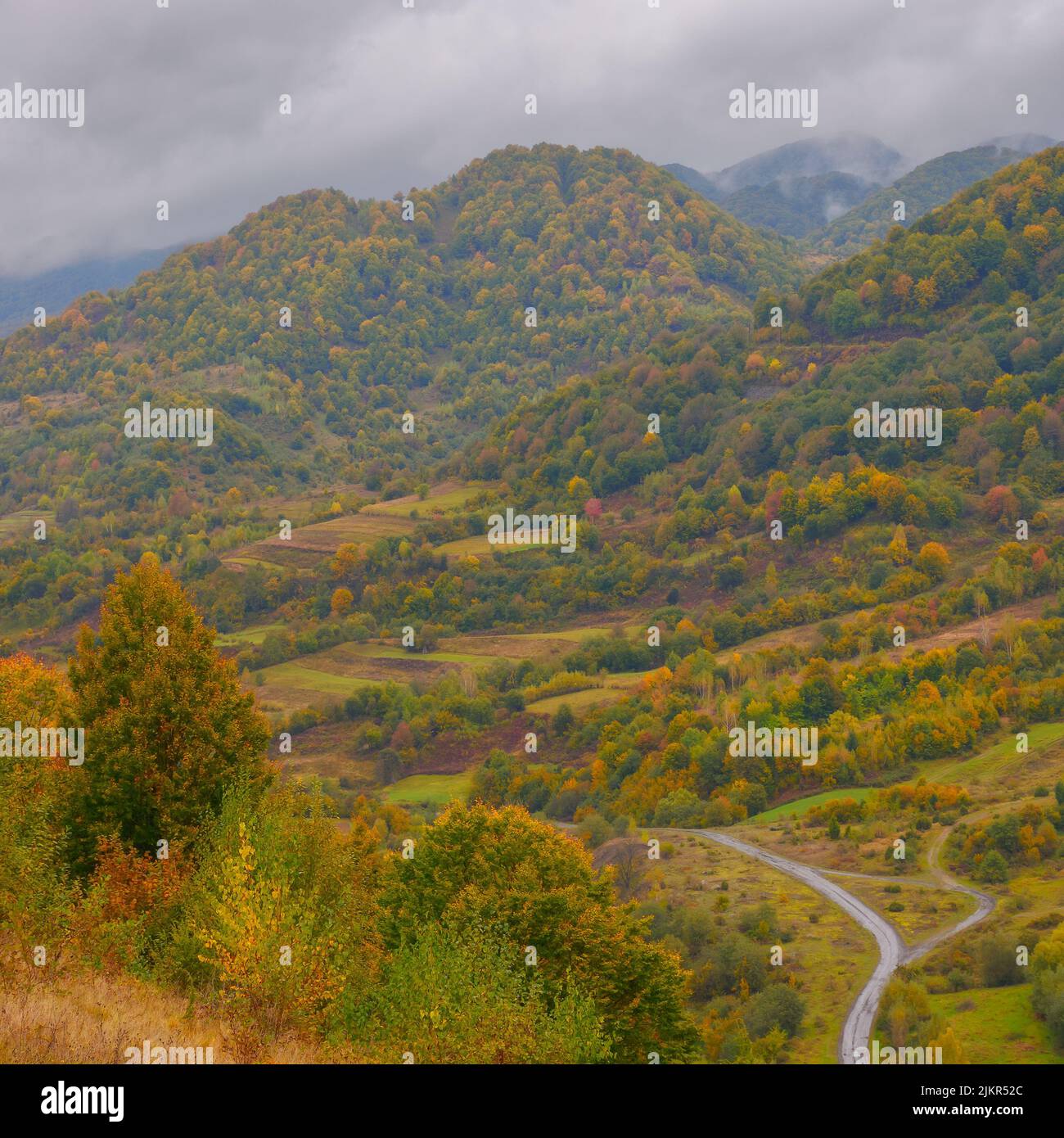 countryside landscape in mountains. overcast weather in autumn. trees in colorful foliage on the hills. country road winding down through the valley Stock Photo