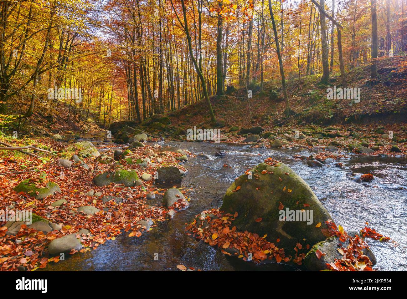 Beautiful forest stream trees hi-res stock photography and images - Alamy