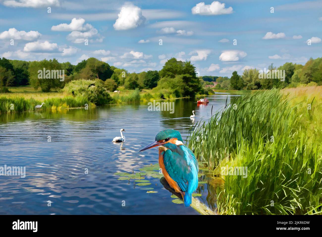 Life on the river Stour in Sudbury Suffolk. with people boating, swans, heron, and a Kingfisher Stock Photo