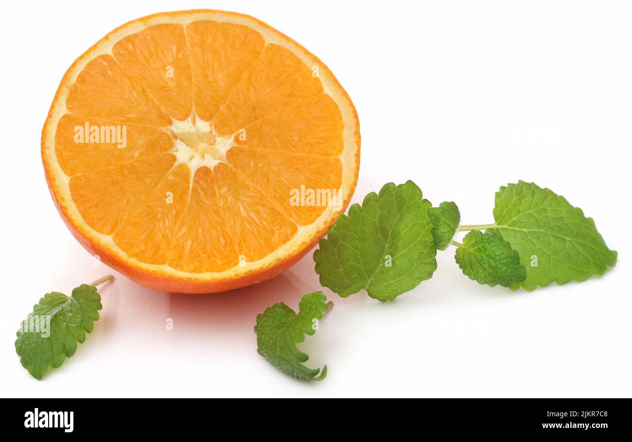 Lemon balm with sliced orange over white background Stock Photo