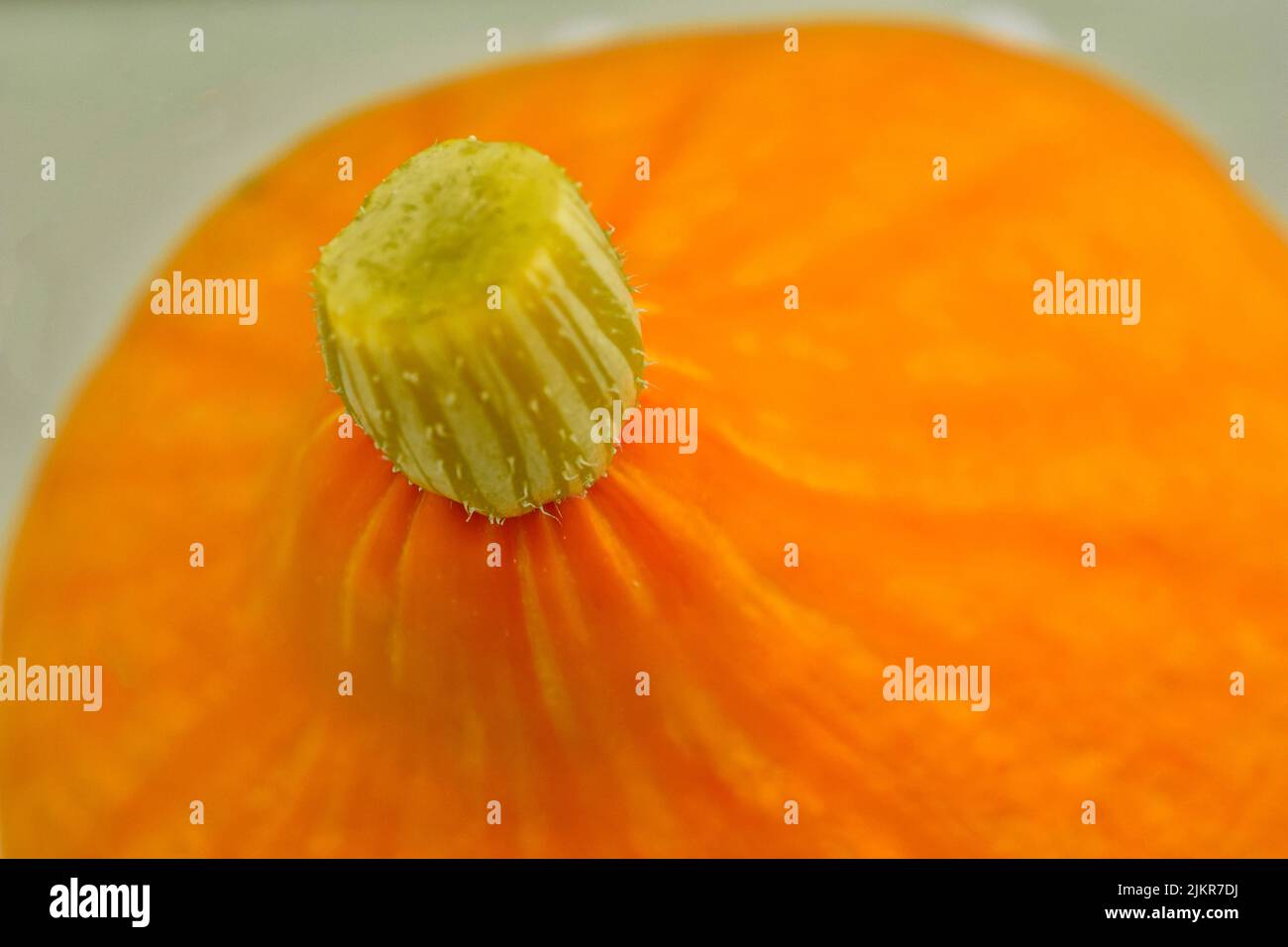Close up of pumpkin Stock Photo