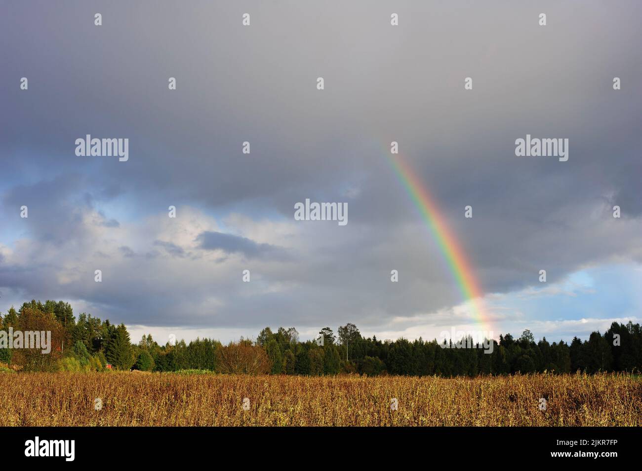 Rainbow over the rural landscape, dramatic sky and clouds, Finland. Stock Photo