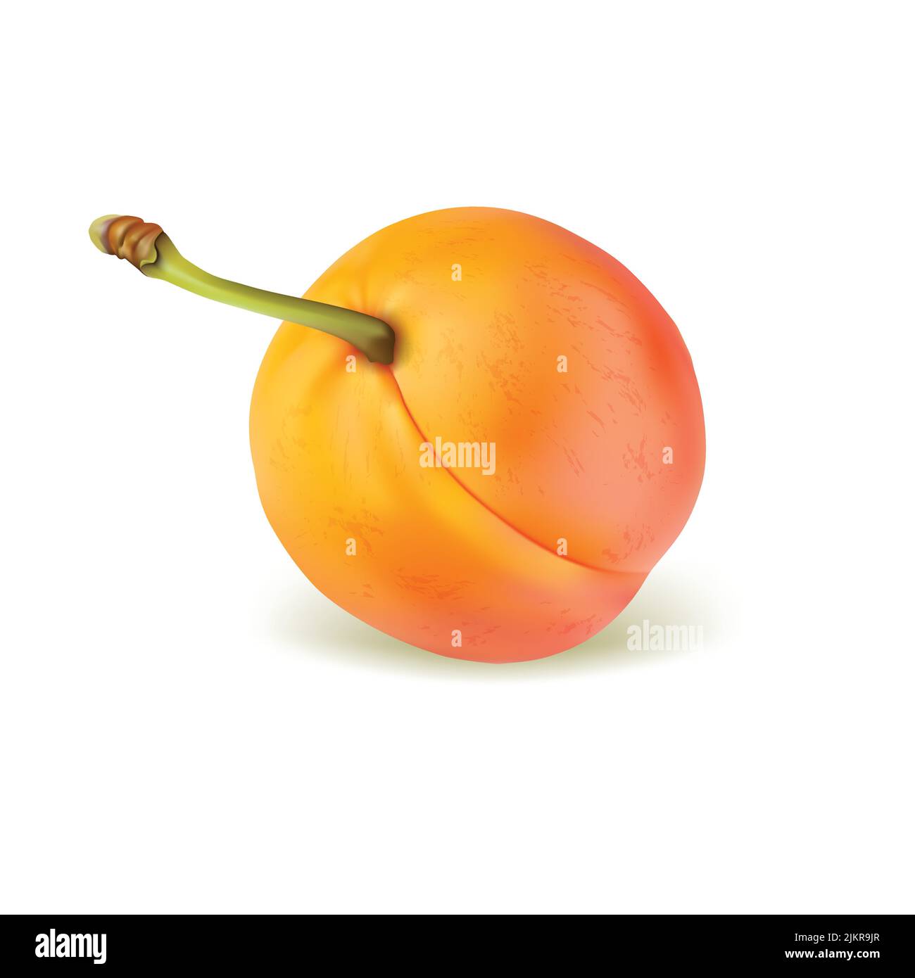 cherry realistic vector illustration Stock Vector