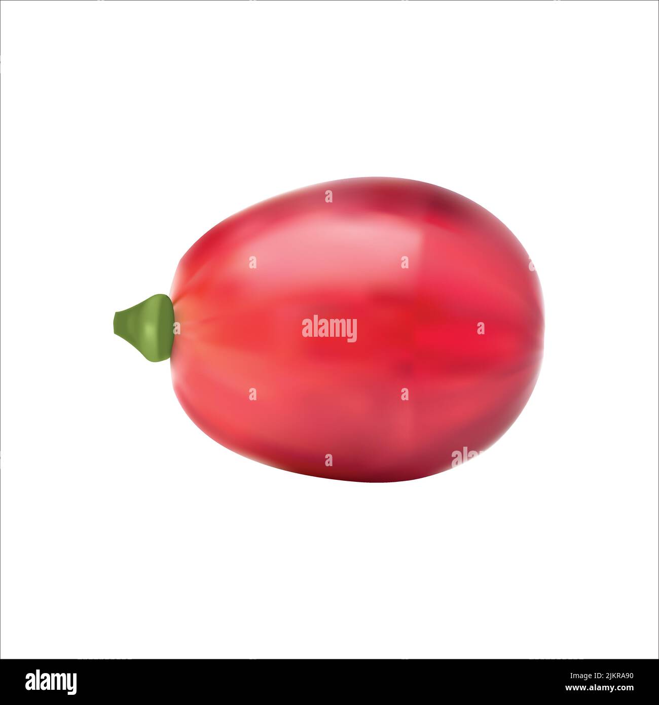 realistic grape fruit vector isolated on white background , package design, ads design,banner Stock Vector