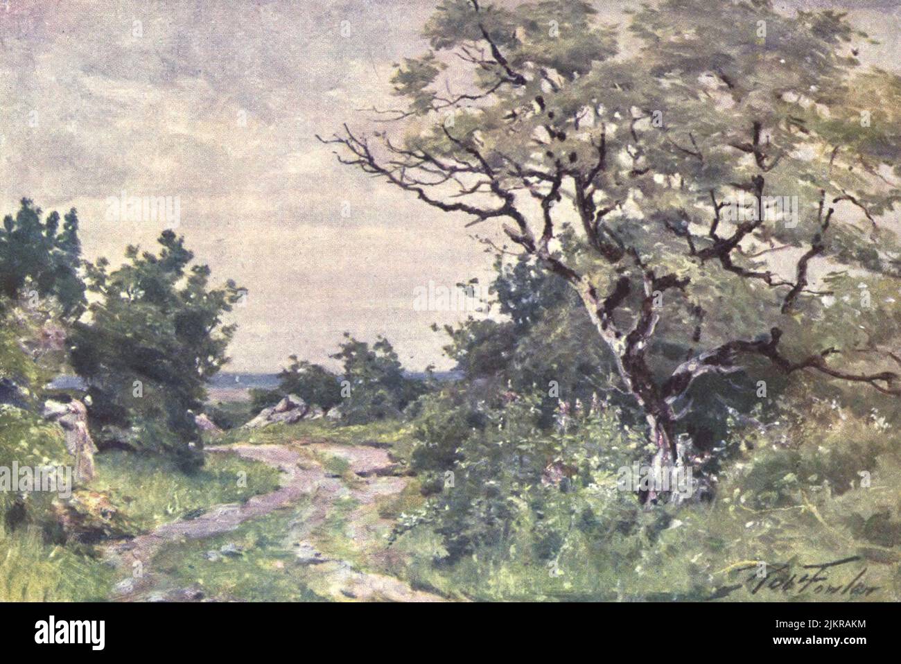 Field Path, near Llanrug watercolour painting by Robert Fowler from the book ' BEAUTIFUL WALES ' Described by Edward Thomas Publication date 1905 Publisher London, A. & C. Black Stock Photo