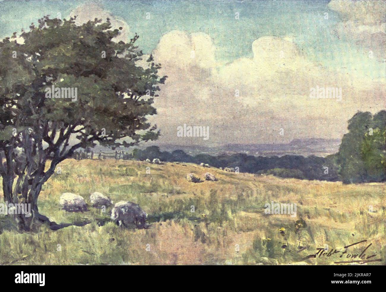 Sunny Field, near Llanberis watercolour painting by Robert Fowler from the book ' BEAUTIFUL WALES ' Described by Edward Thomas Publication date 1905 Publisher London, A. & C. Black Stock Photo