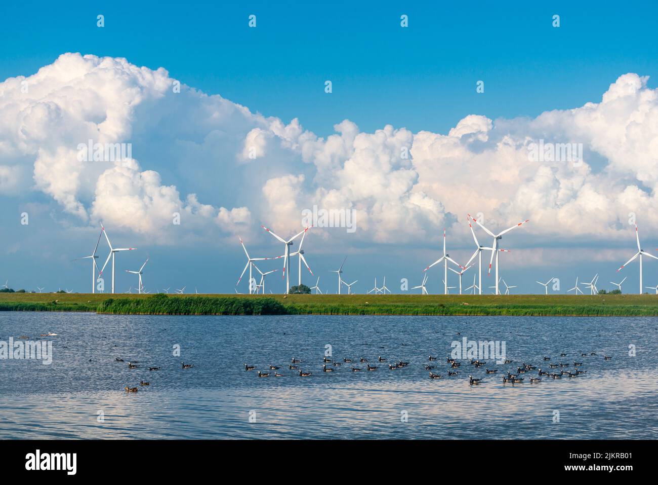 Wind power plant in the marshes of Reußenköge, North Frisia, North Sea, Schleswig-Holstein, Northern Germany, Stock Photo