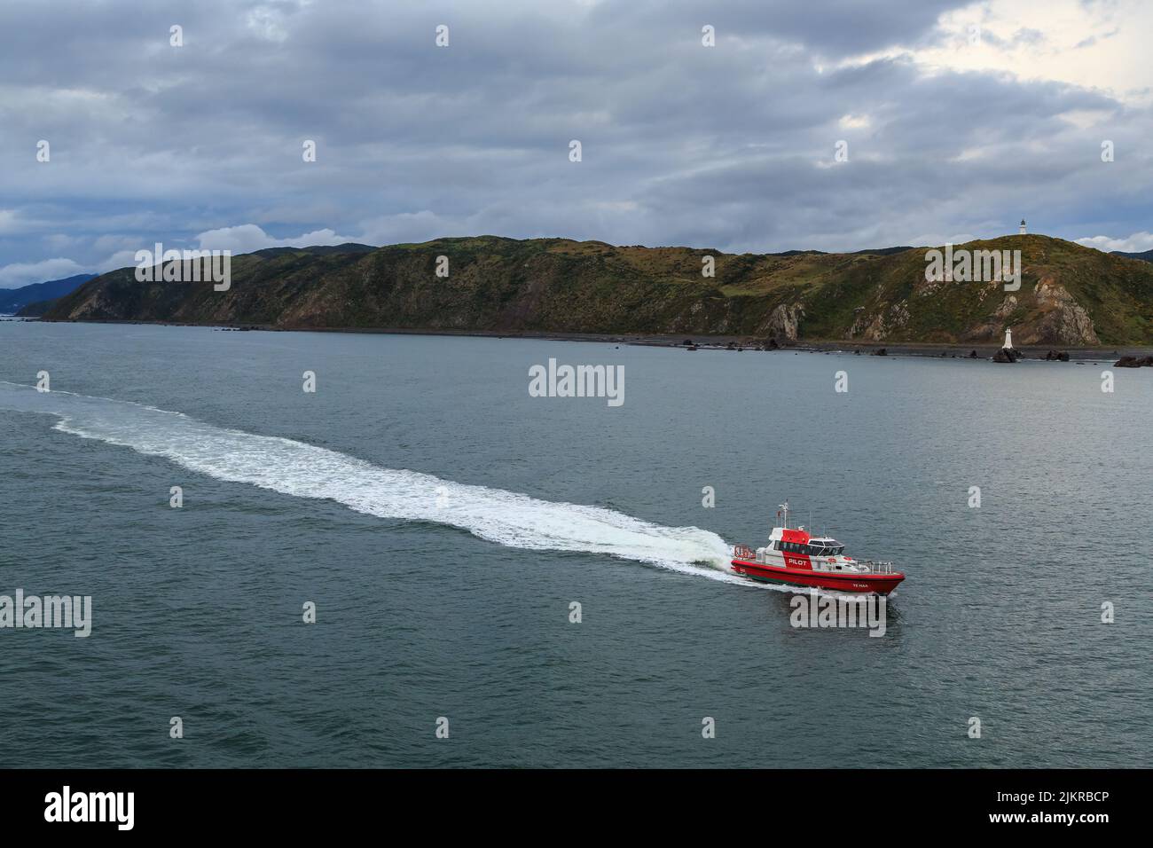 Pencarrow Head, a headland just south of Wellington, New Zealand. A pilot boat is speeding along the coast. At right are the head's two lighthouses Stock Photo