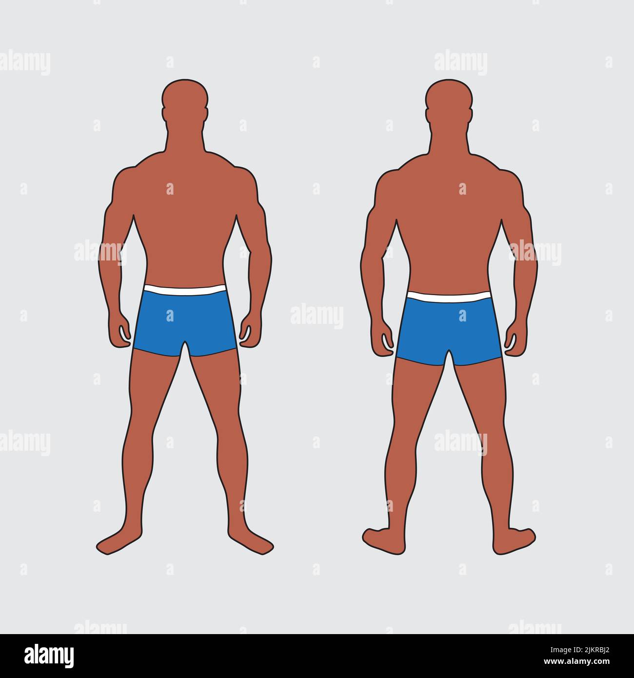 Adult muscular man. Impersonal character in blue swimming trunks. Front and back view. Standard male figure. Correct physique and body proportions. Sl Stock Vector