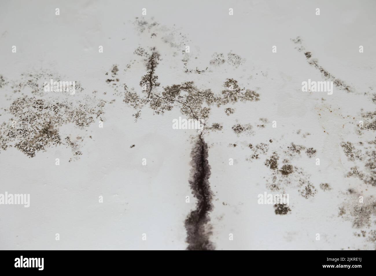 infiltration of water, mold and cracks in the wall and white roof of the house Stock Photo