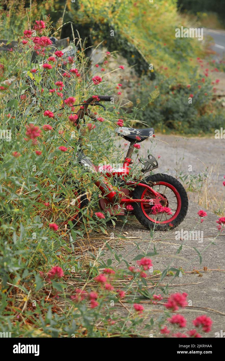 Red children bicycle in garden surrounded with flowers Stock Photo
