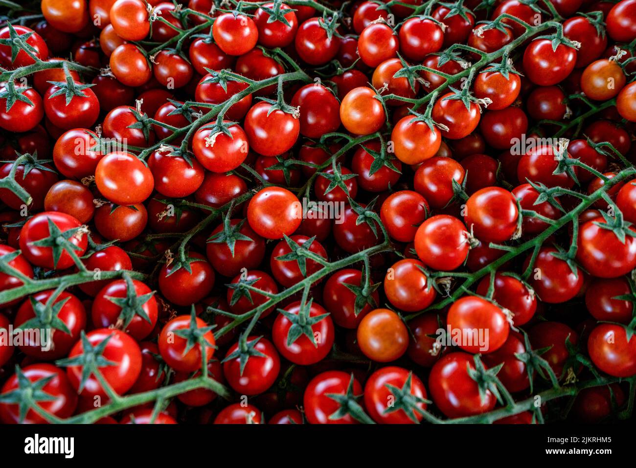Fresh organic cherry tomatoes as background Stock Photo