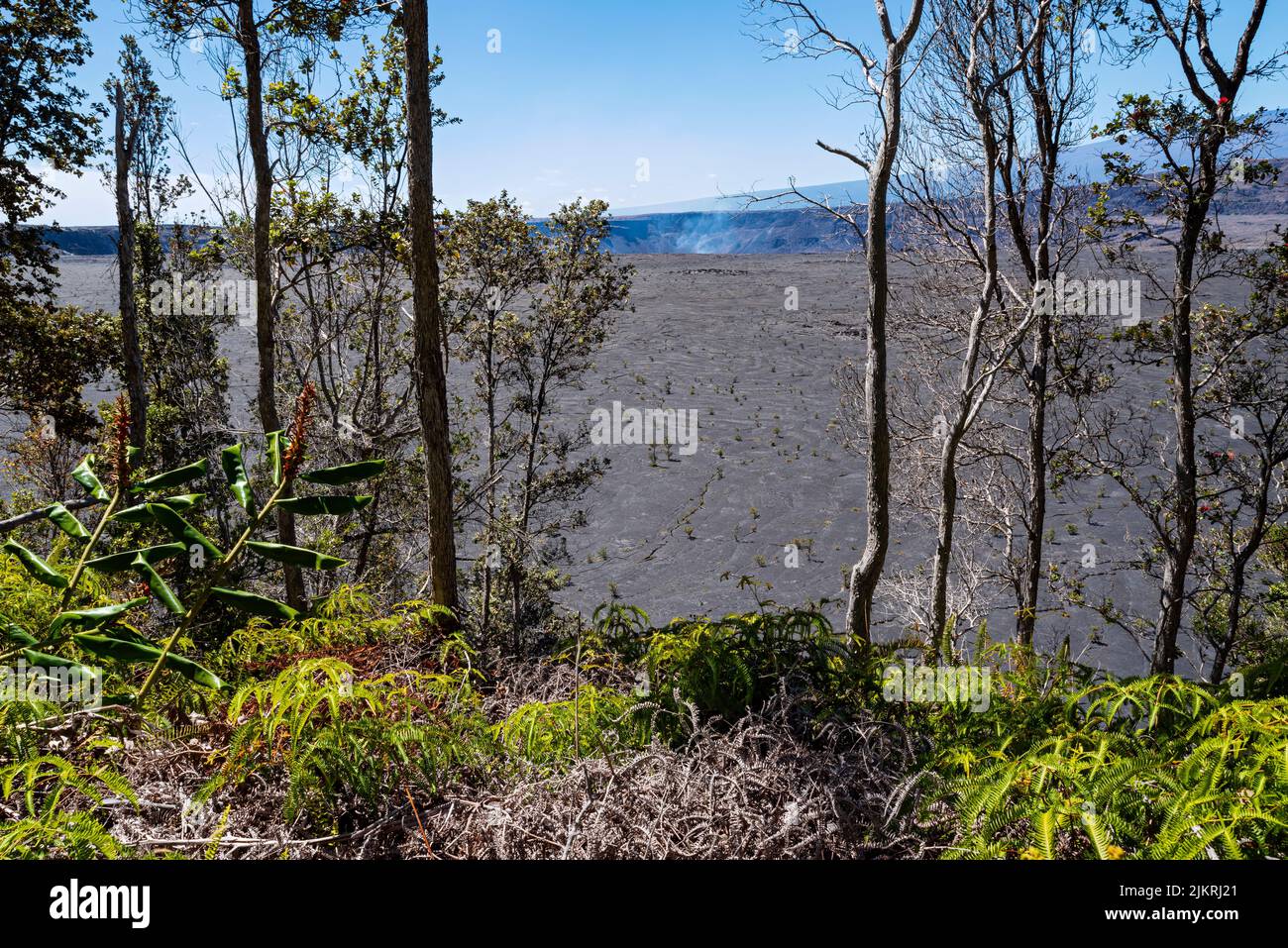 halemaumau crater and lava plain viewed from crater rim trail at hawaii volcanoes national park Stock Photo