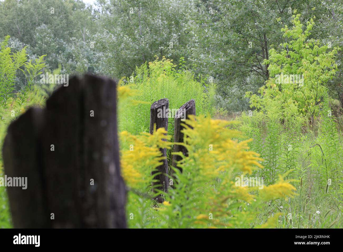 Rustic old garden fence hi-res stock photography and images - Alamy