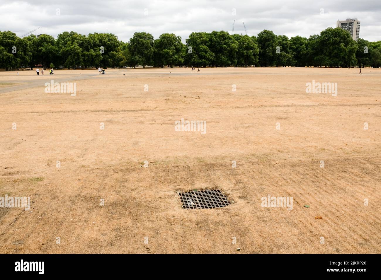 Hyde Park, London, UK. 3rd Aug 2022. UK Weather: drought warnings. Dry scenes Hyde Park, London. Credit: Matthew Chattle/Alamy Live News Stock Photo