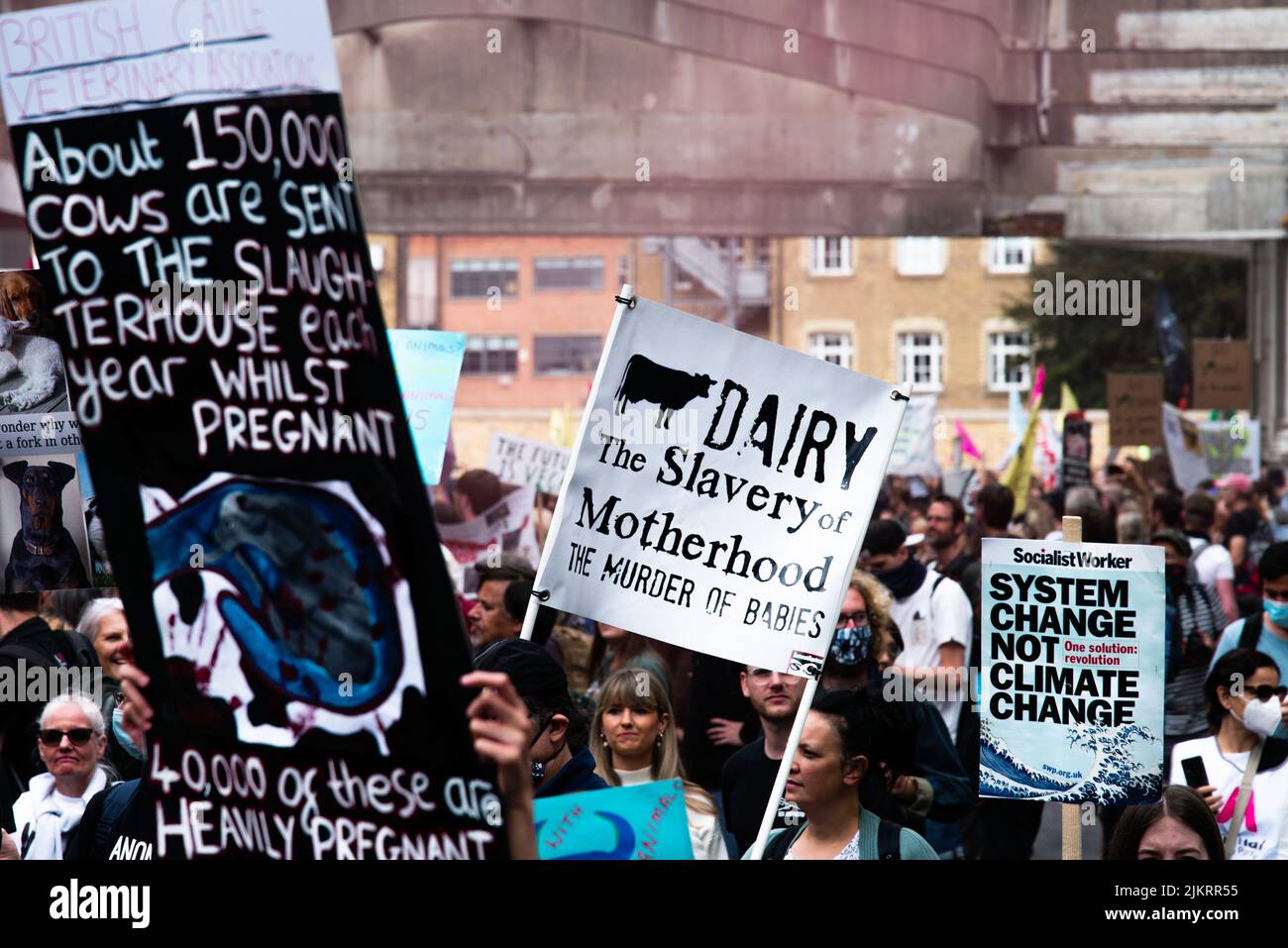 Animal rights activists with anti- dairy placards, London 2021 Stock Photo
