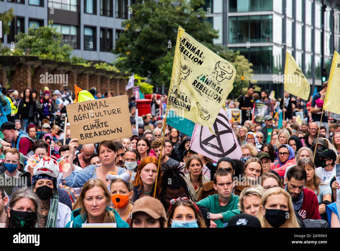 Woman in crowd of protestors with placard saying animal agriculture = climate breakdown and animal Rebellion flag, London 2021 Stock Photo