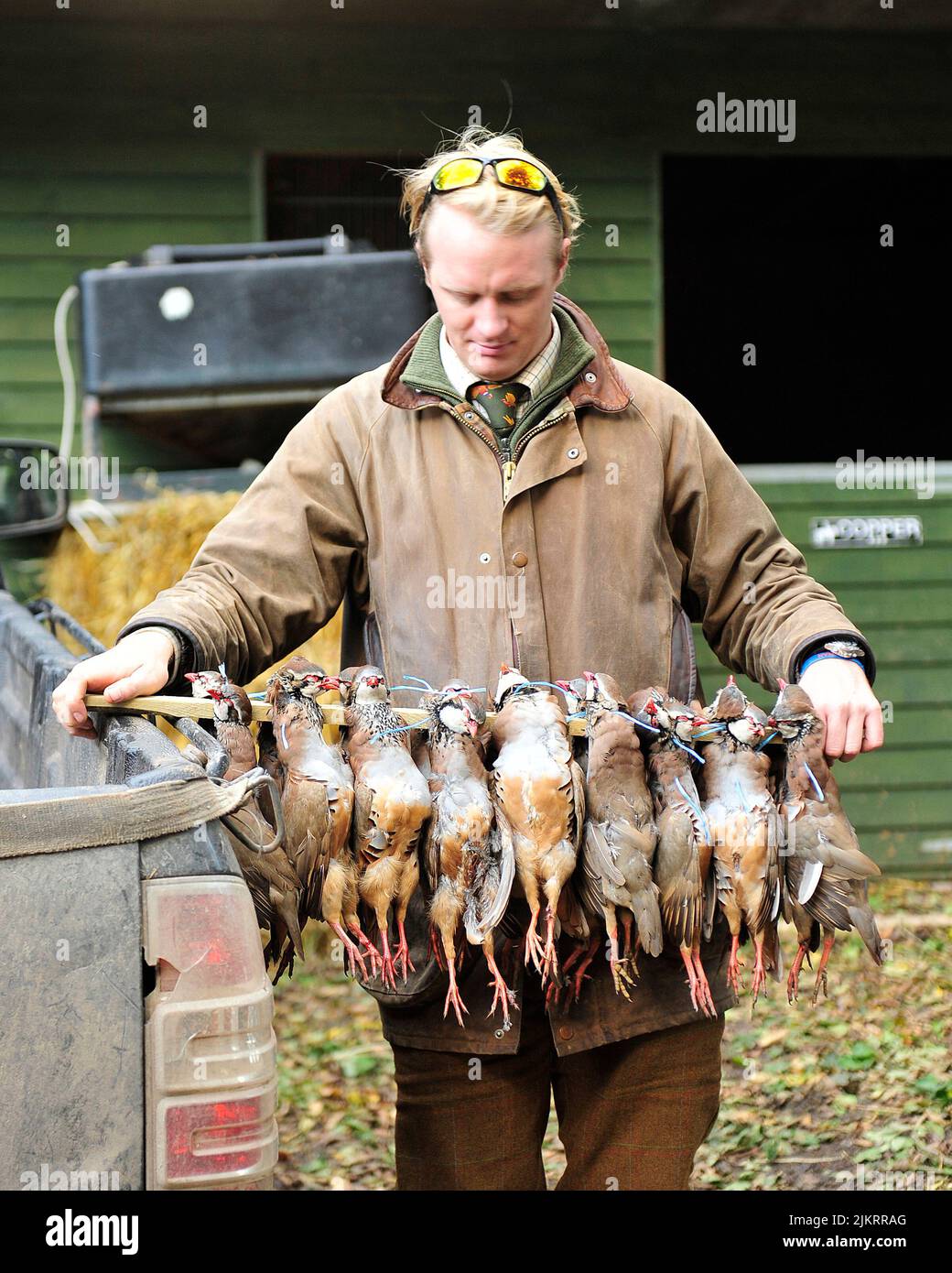 man carrying shot partridges Stock Photo