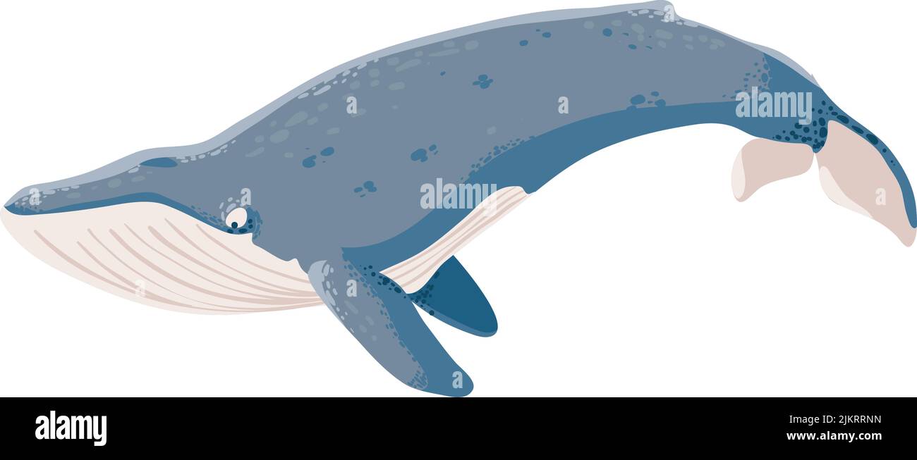 blue whale icon Stock Vector Image & Art - Alamy
