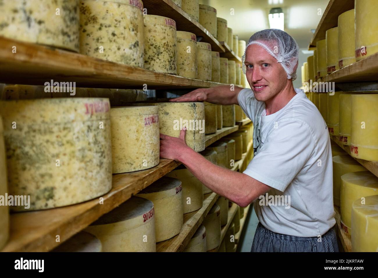 Cheese making of prize-winning cheddar cheese at the Pyengana Dairy Farm in northern Tasmania Stock Photo