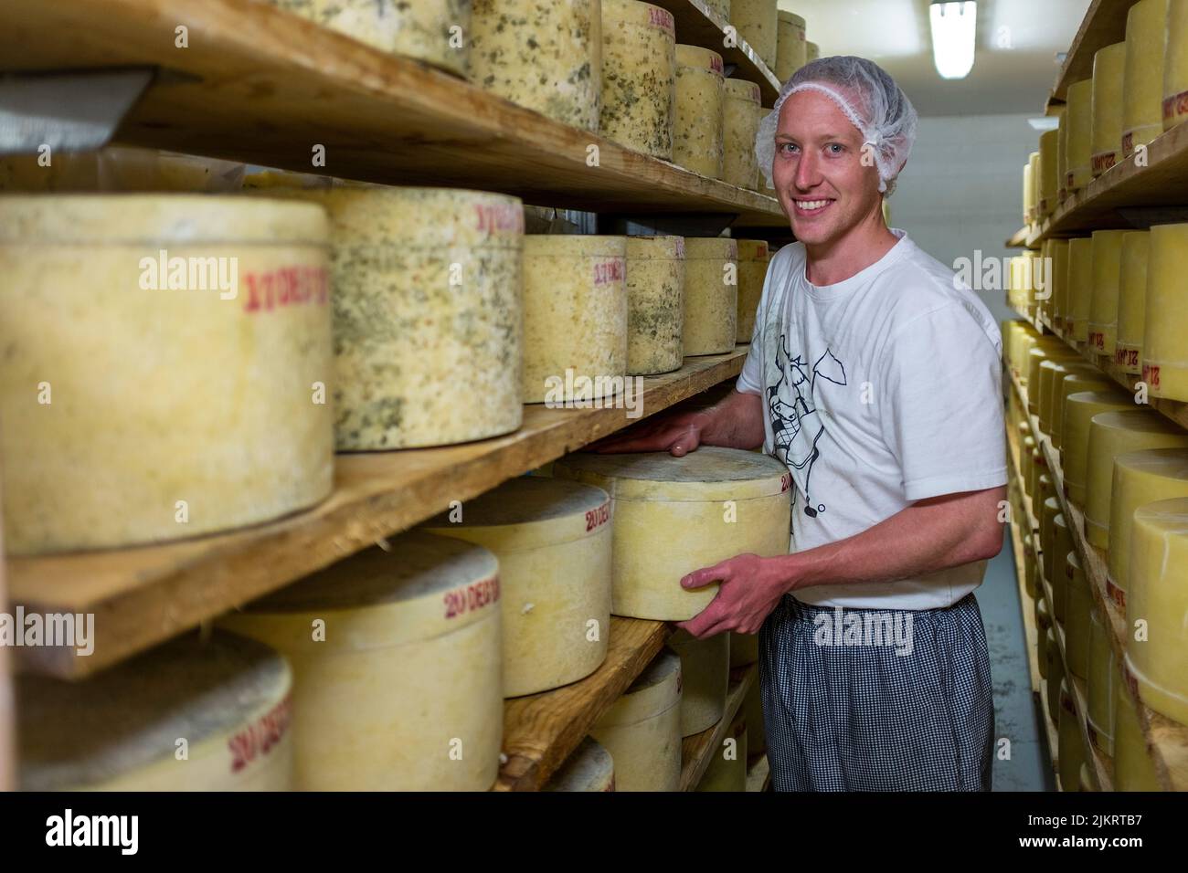 Cheese making of prizewinning cheddar style cheese at the Pyengana
