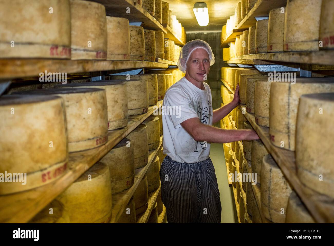 Cheese making of prizewinning cheddar style cheese at the Pyengana