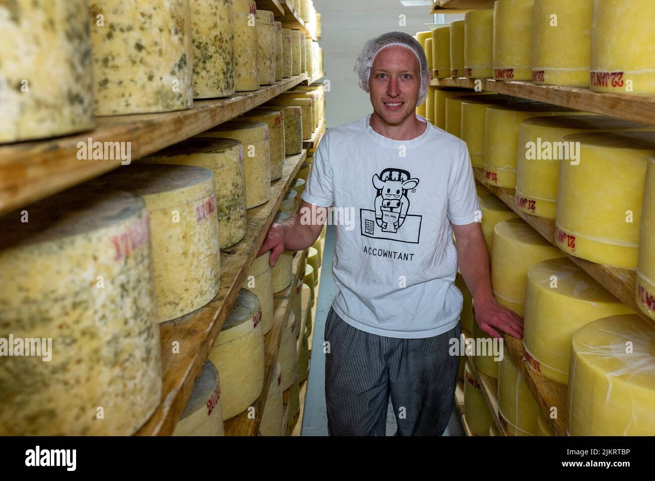 Cheese making of prize-winning cheddar style cheese at the Pyengana Dairy Farm in northern Tasmania Stock Photo