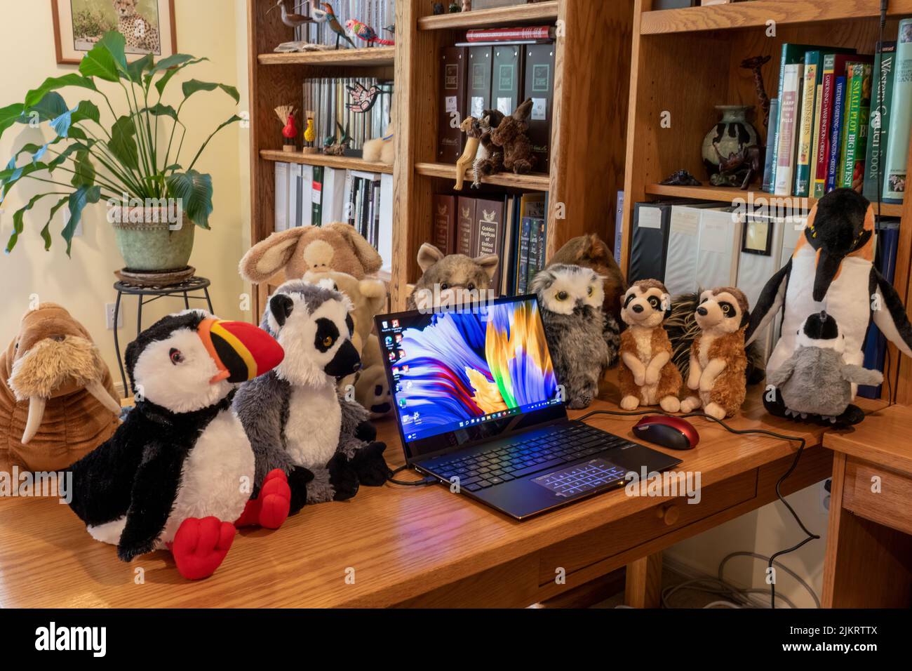 Issaquah, Washington, USA.  Laptop PC surrounded by a collection of stuffed animals. Stock Photo