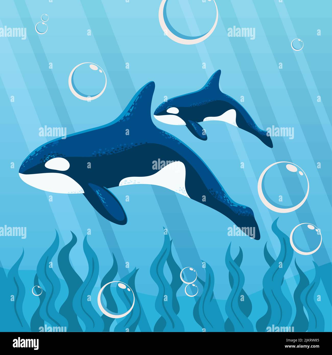 orca whales undersea Stock Vector Image & Art - Alamy