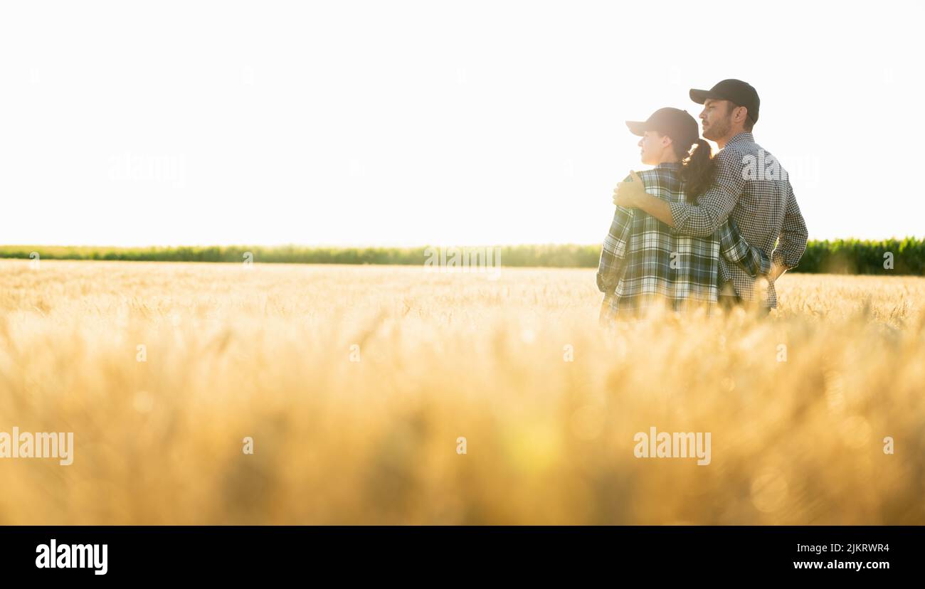A couple of farmers in plaid shirts and caps stand embracing on agricultural field of wheat at sunset Stock Photo