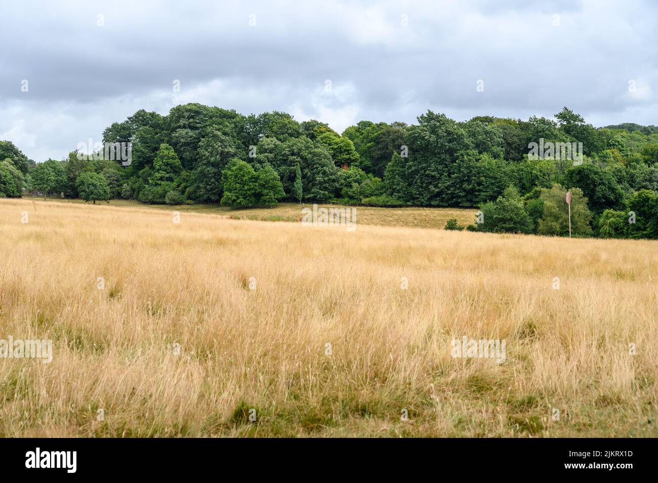 View over the battlefield at the Battle of Hastings in 1066, Battle
