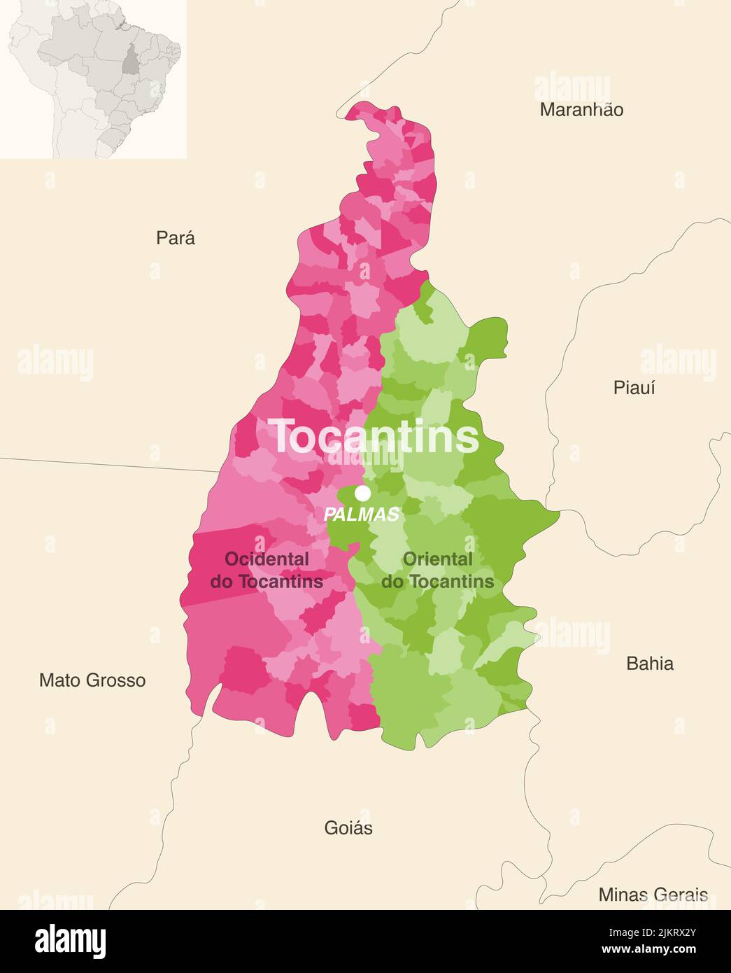 Brazil state Tocantins administrative map showing municipalities colored by state regions (mesoregions) Stock Vector