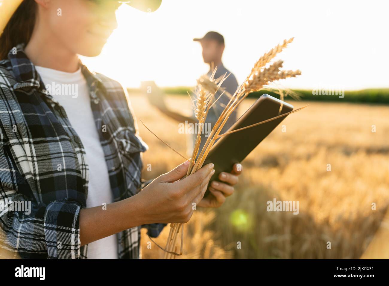 Couple of farmers examines the field of cereals and sends data to the cloud from the digital tablet and laptop. Smart farming  Stock Photo