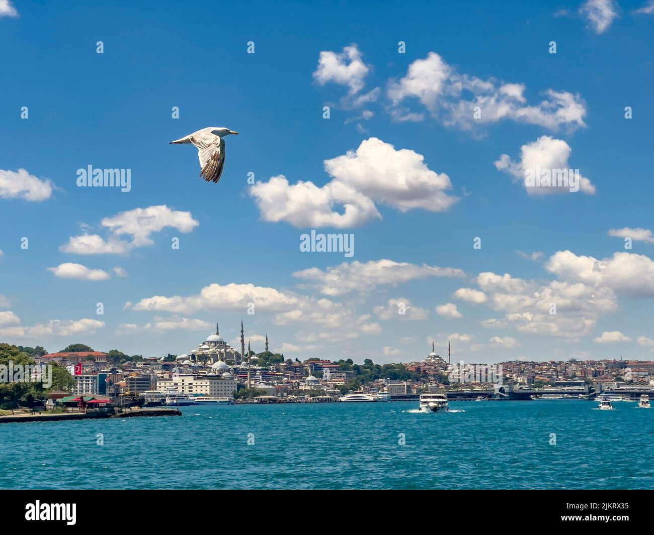Seagull flying on blue cloudy sky in front of Galata bridge, Yeni Cami (New Mosque) and Suleymaniye Mosque in a row. The entrance of the Golden Horn. Stock Photo