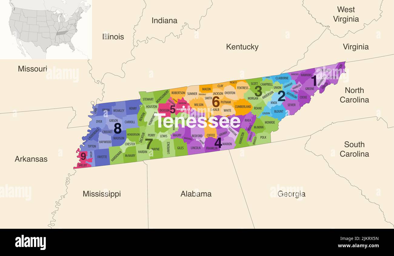 Tennessee state counties colored by congressional districts vector map