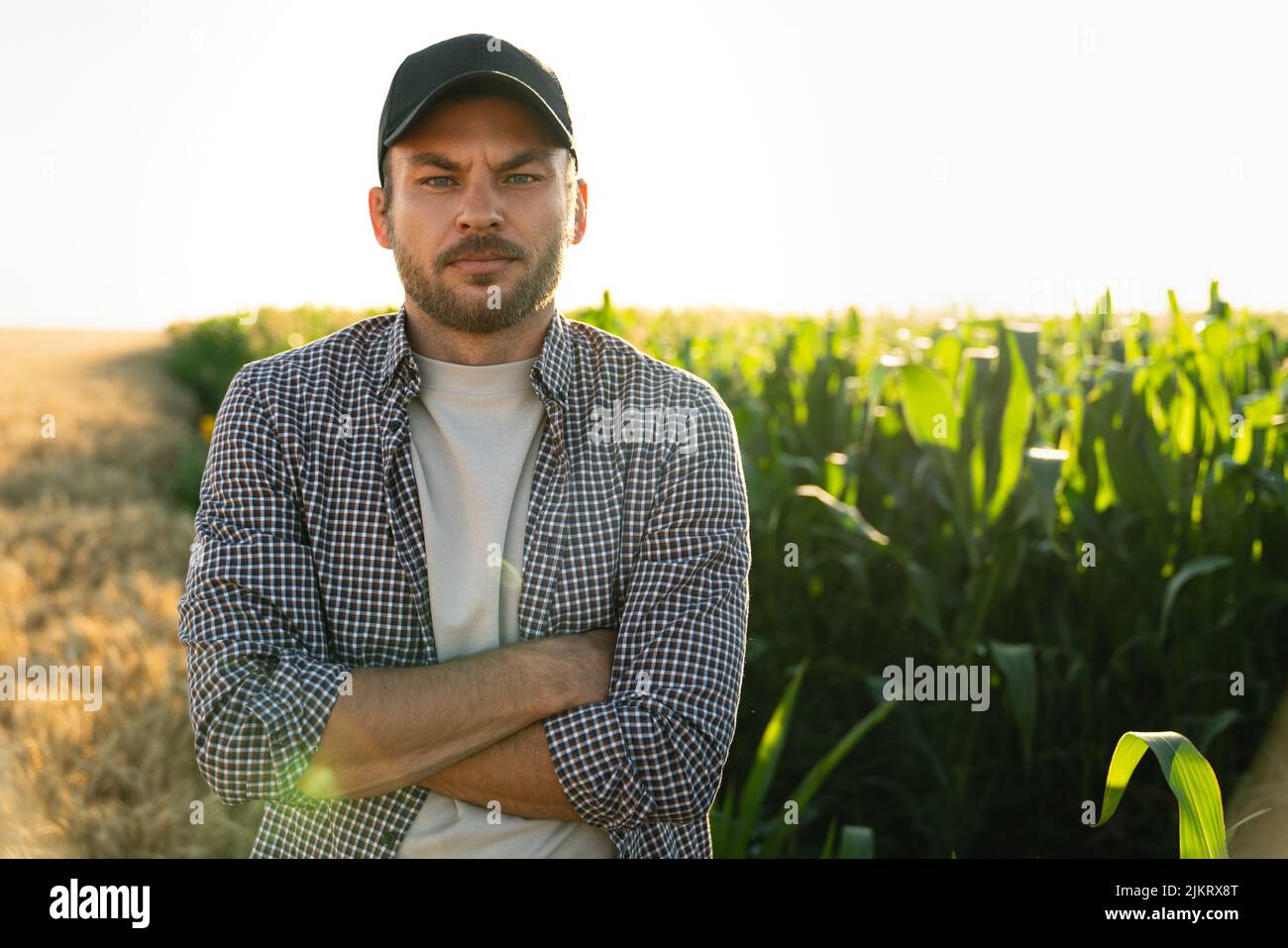 Bearded farmer in a cap and a plaid shirt against the background of a corn field  Stock Photo