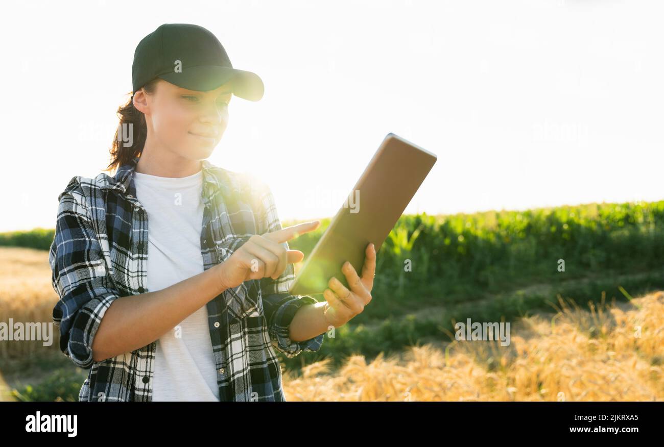 Farmer examines the field of cereals and sends data to the cloud from the tablet. Smart farming and digital agriculture.  Stock Photo