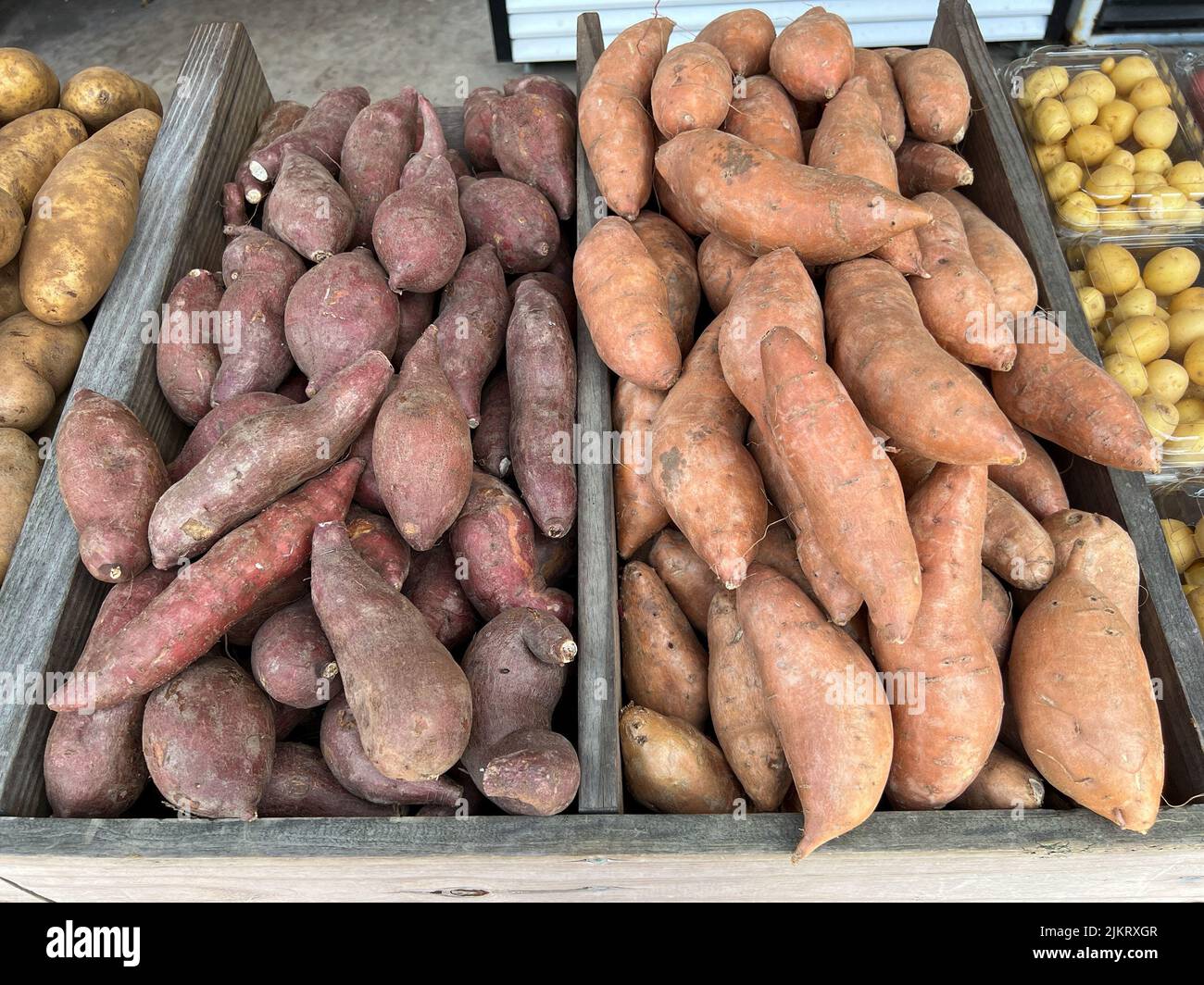 Colorful sweet potatoes at a fruit and vegetable stand in Orlando