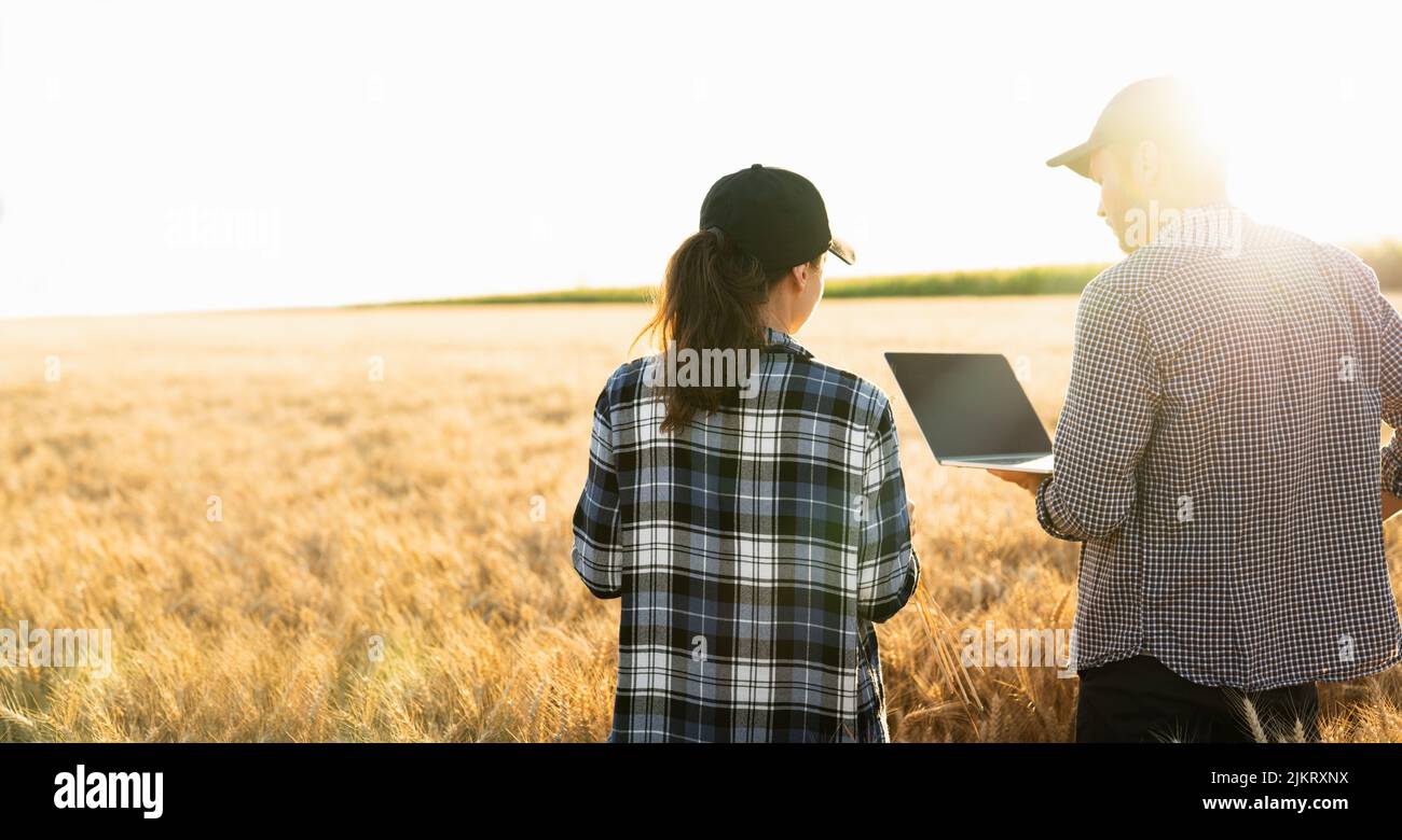 Couple of farmers examines the field of cereals and sends data to the cloud from the digital tablet and laptop. Smart farming  Stock Photo