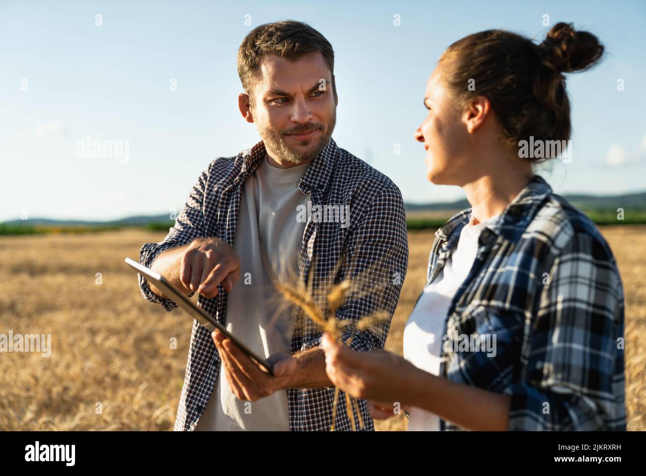 Couple of farmers examines the field of cereals and sends data to the cloud from the tablet. Smart farming and digital agriculture.  Stock Photo