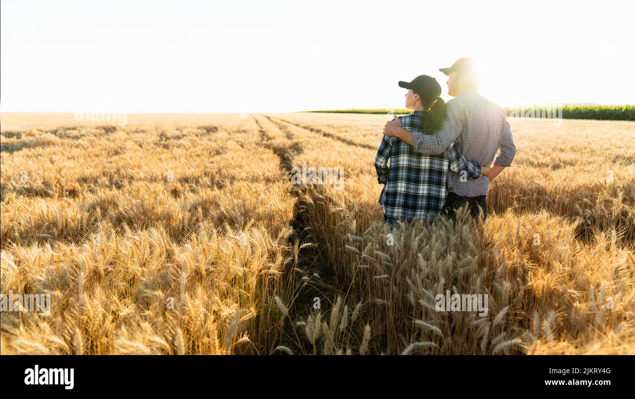 A couple of farmers in plaid shirts and caps stand embracing on agricultural field of wheat at sunset  Stock Photo