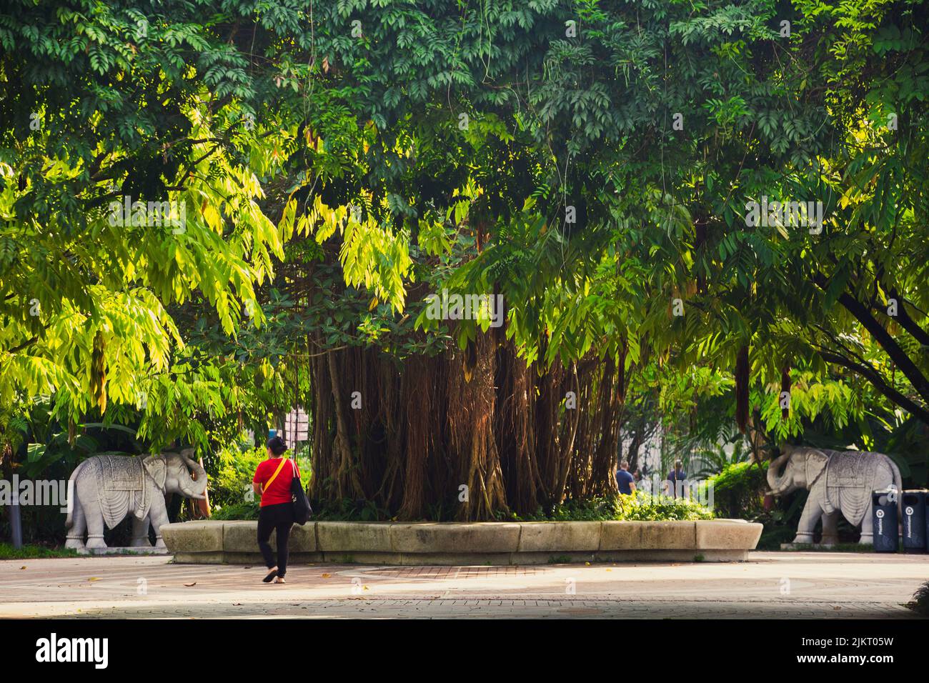 A lone visitor walking in the allure of Garden by the Bay, A therapeutic venue for human to relax, recharge and enjoy the nature surrounding. Stock Photo