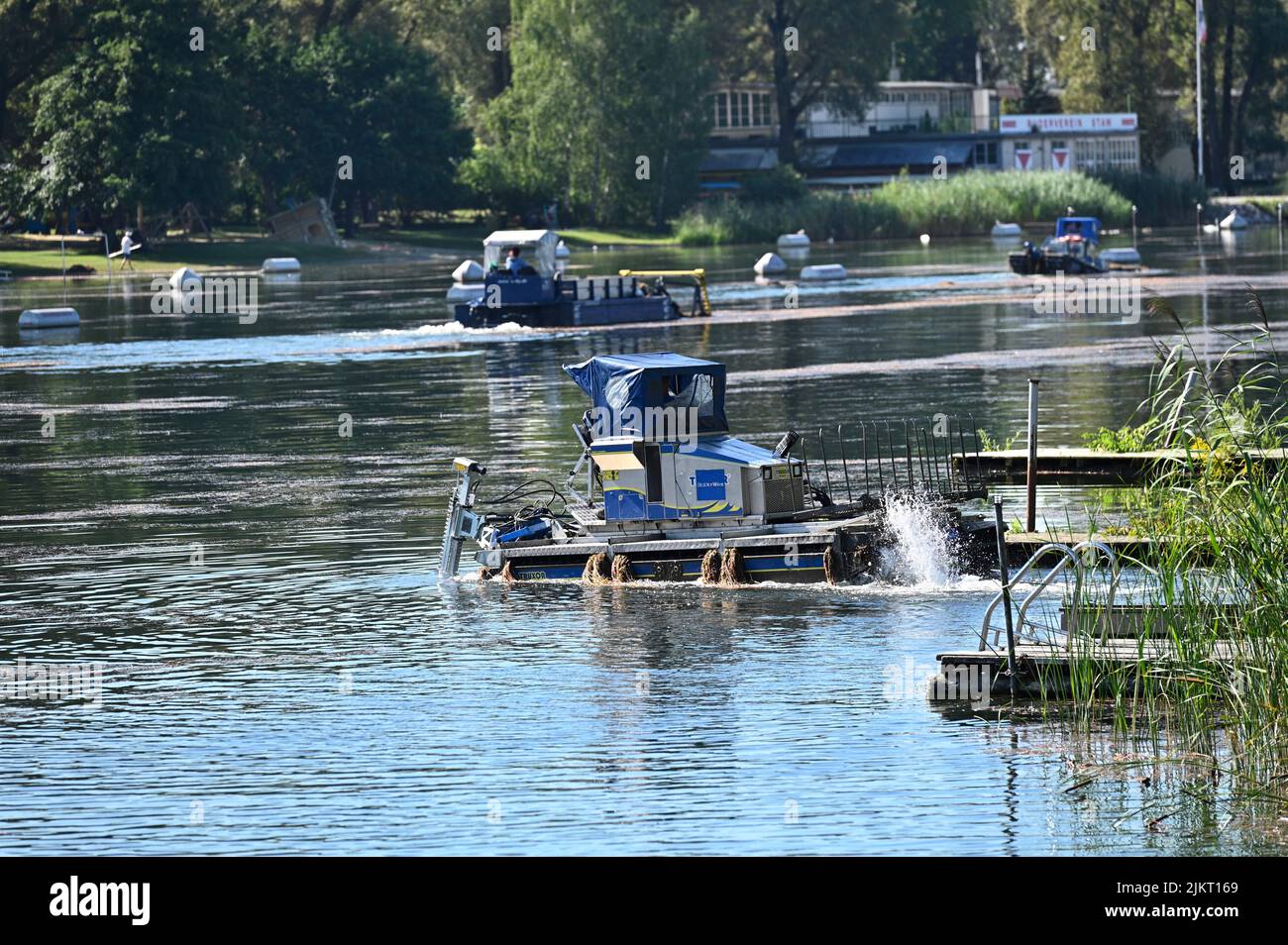 Vienna, Austria. 3rd Aug, 2022. Water weed cutter on the Old Danube. Since this year, the curly pondweed (Potamogeton crispus) has been growing there at a rate of around 10 centimeters per day. 900 tons of cuttings have been taken out of the water so far Stock Photo