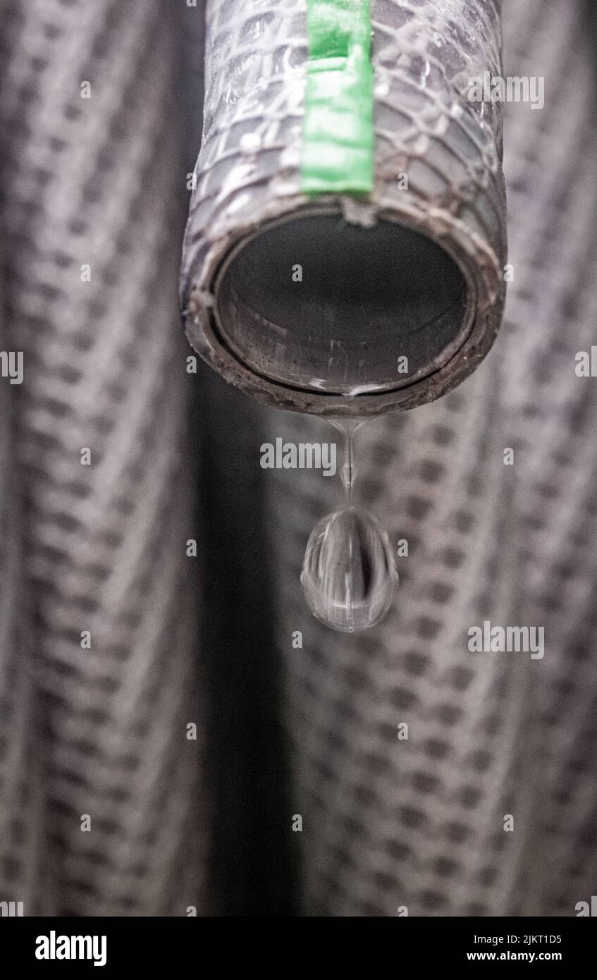 12 million records hires stock photography and images Alamy