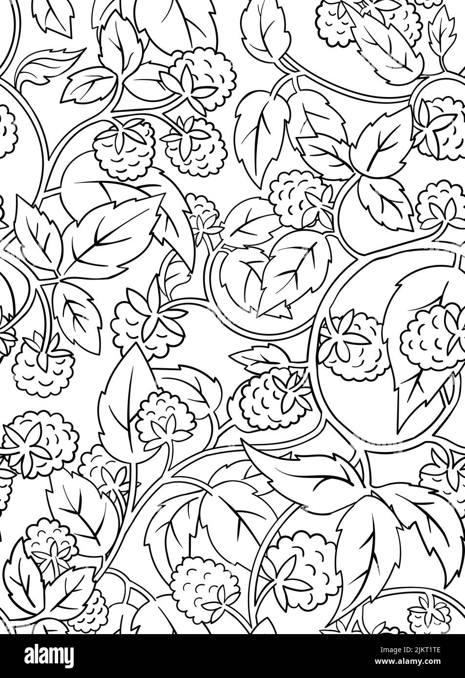 Raspberry Coloring Book seamless Pattern. Black countour on white ...