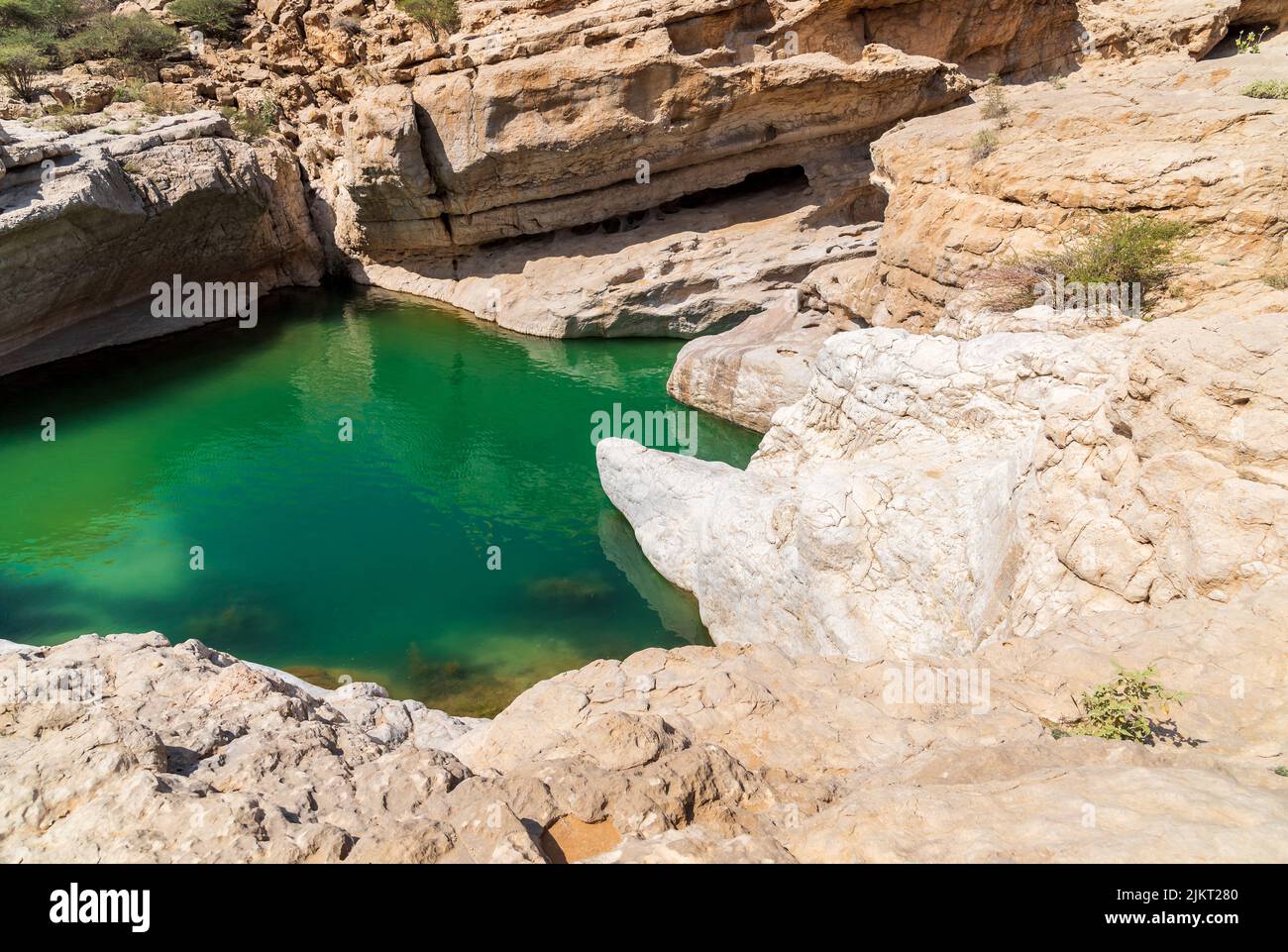 View of the Wadi Bani Khalid oasis in the desert in Sultanate of Oman. Stock Photo
