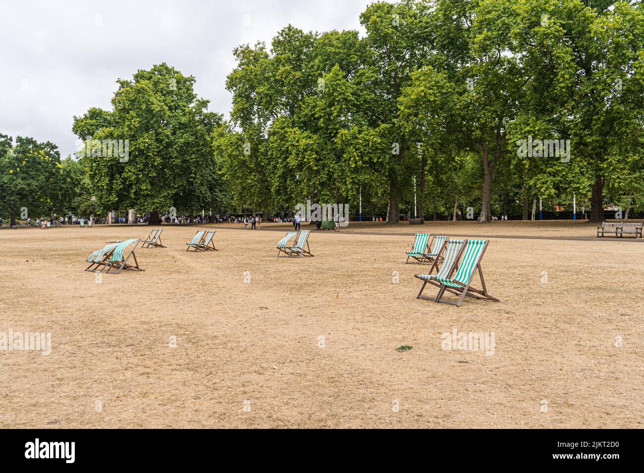 London, UK 3 August 2022. Saint James Park looking parched  from the effect of the dry weather and extreme heat .  A drought warning has been declared after the hottest  july was recorded  and a historic  heatwave caused temperatures to reach 40celsius  and the south east of England  saw an average of 5mm of rain Credit. amer ghazzal/Alamy Live News Stock Photo