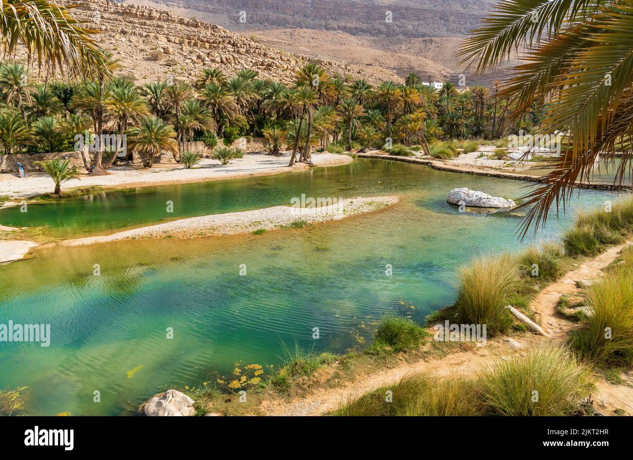 View of the Wadi Bani Khalid oasis in the desert in Sultanate of Oman. Stock Photo