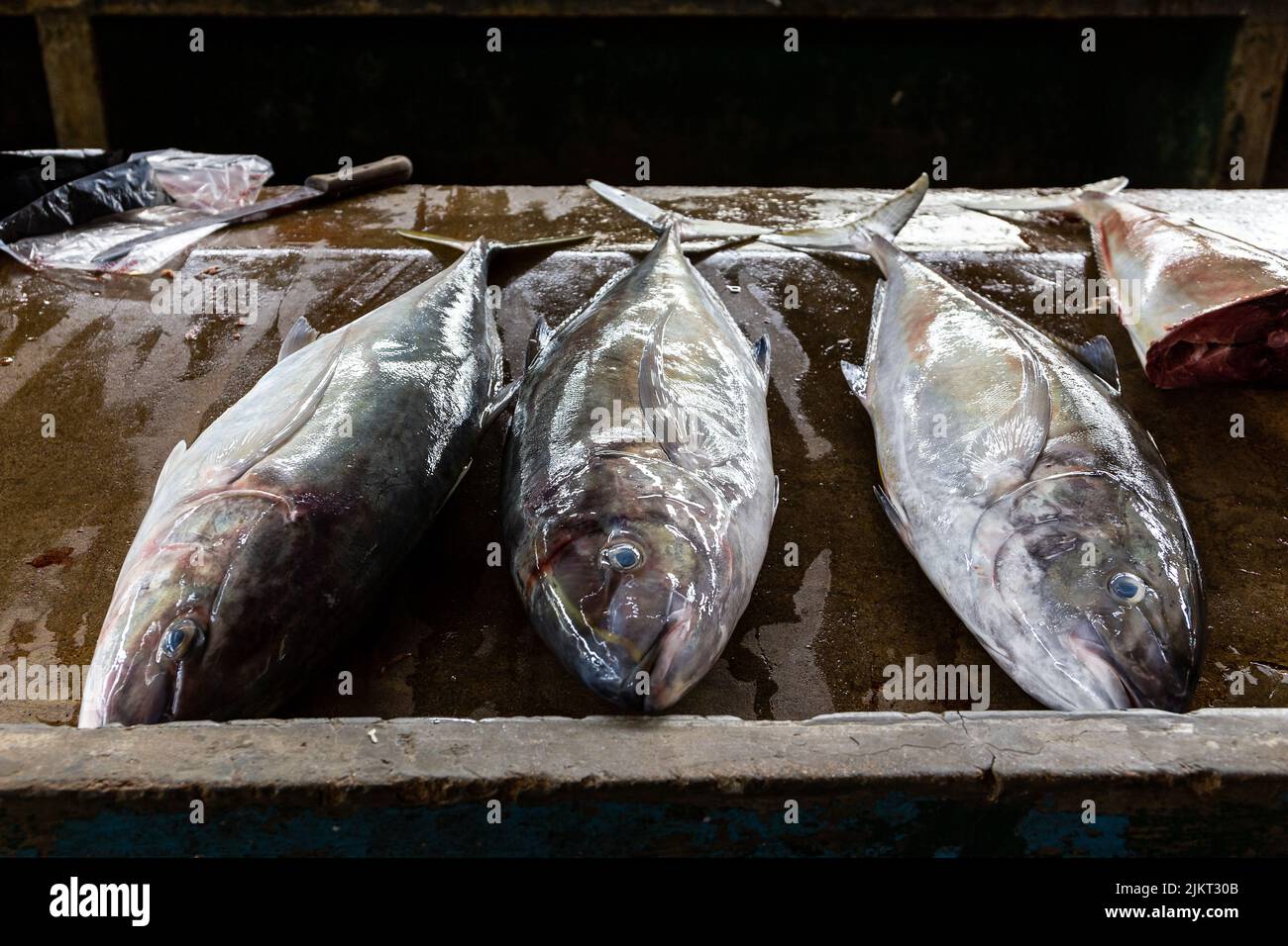 Fresh Jack fish (Caranx hippos) on a market stall in Victoria town, Mahe, Seychelles. Stock Photo