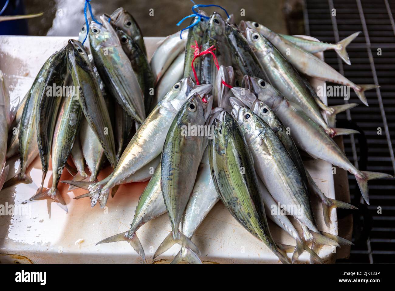 Bunch of Indian mackerel (Rastrelliger kanagurta) fish on a market stall in Victoria town, Mahe, Seychelles. Stock Photo
